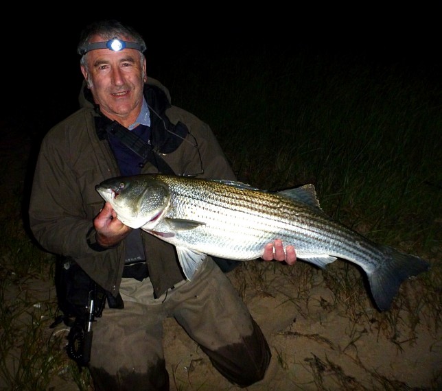 Malc with a USA caught stipped bass - a species that collapsed but then recovered after the polititians woke up.