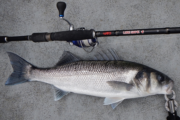 A captured bass on the deck