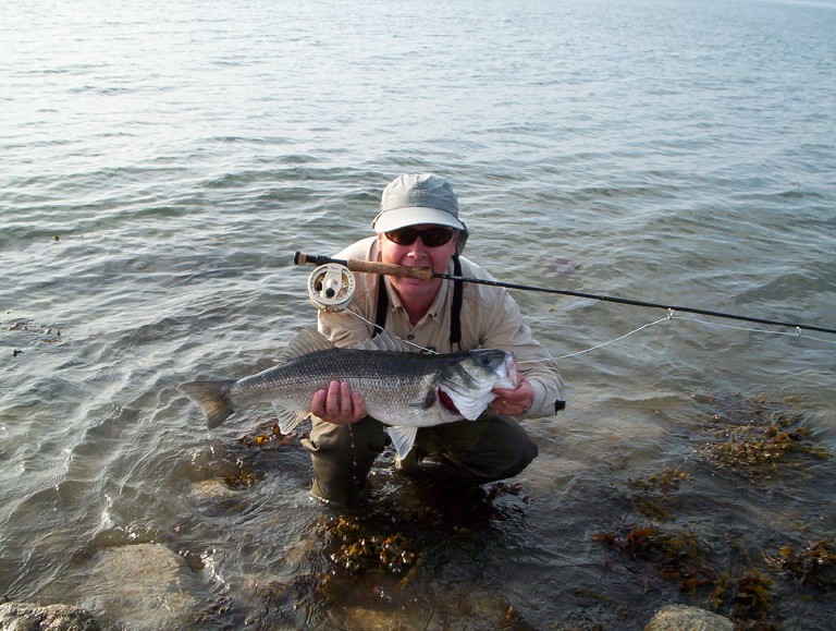 Fly Fishing For Bass From The Shore Bass Anglers’ Sportfishing Society