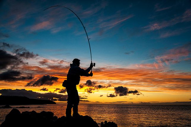 The Dark Strand – Bass Anglers' Sportfishing Society